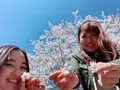 久我原駅の写真_271381