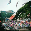 杖立温泉の写真_271416