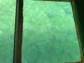 足摺海底館の写真_271698