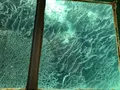 足摺海底館の写真_271702