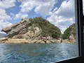 足摺海底館の写真_271703