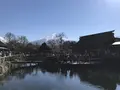 忍野八海の写真_271877