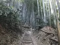 田浦梅の里の写真_271926