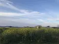 長井海の手公園ソレイユの丘の写真_271957