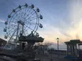 長井海の手公園ソレイユの丘の写真_271958