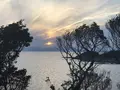 長井海の手公園ソレイユの丘の写真_271961