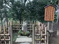 葛原岡神社の写真_272040