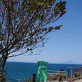 道の駅 いぶすき「彩花菜館」の写真_272165