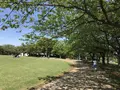 地蔵王廟の写真_272564