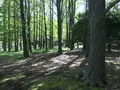 地蔵王廟の写真_272568