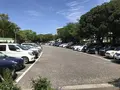 地蔵王廟の写真_272593