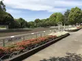 地蔵王廟の写真_272612
