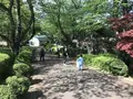地蔵王廟の写真_272614