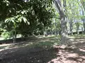 地蔵王廟の写真_272622