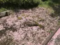 地蔵王廟の写真_272624