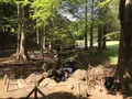 地蔵王廟の写真_272630