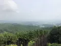 上赤阪城跡の写真_272645