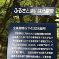 蓮華寺の写真_272660