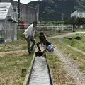 玉城ふれあい農園の写真_272716