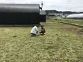 玉城ふれあい農園の写真_272719
