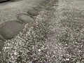 旧大塚家住宅の写真_272961