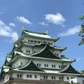 名古屋城の写真_273203
