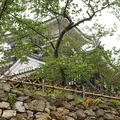 浜松城の写真_273298