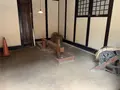 旧宇田川家住宅の写真_273377