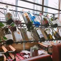 JIMMYBROWN 札幌大通南1条-cafe&diningの写真_273822