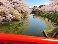 弘前公園の写真_273992