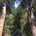 さざえ堂の写真_274157