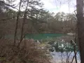 五色沼の写真_274178
