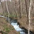 五色沼の写真_274180