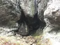 霊山の写真_274199