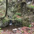 霊山の写真_274201