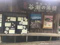 谷瀬の吊り橋の写真_274204