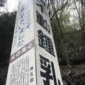 面不動鍾乳洞の写真_274208