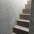 coxの写真_274451