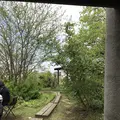 coxの写真_274452