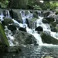 徳川園の写真_274594