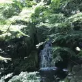 徳川園の写真_274598