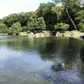 徳川園の写真_274602