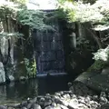 徳川園の写真_274606