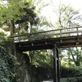 徳川園の写真_274608