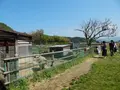 （有）丹後ジャージー牧場 ミルク工房そらの写真_274651