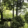 瑞宝寺公園の写真_274677