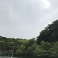 横須賀美術館の写真_274900