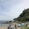 観音崎公園の写真_274915