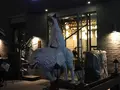 揚州市の写真_275578