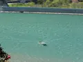 玄武洞ミュージアムの写真_275690